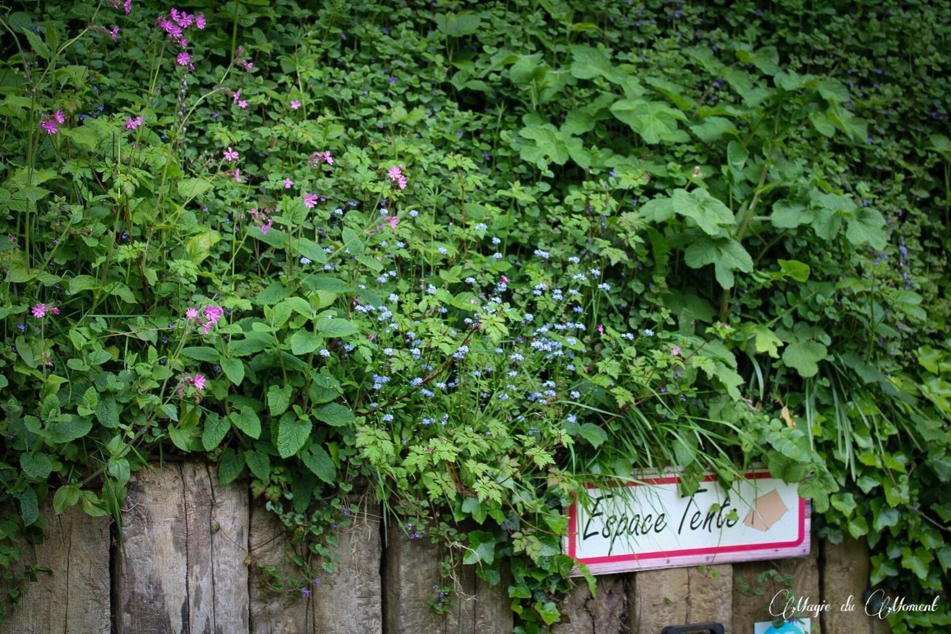 Camping La Sabliere Saint-Jans-Cappel Buitenkant foto