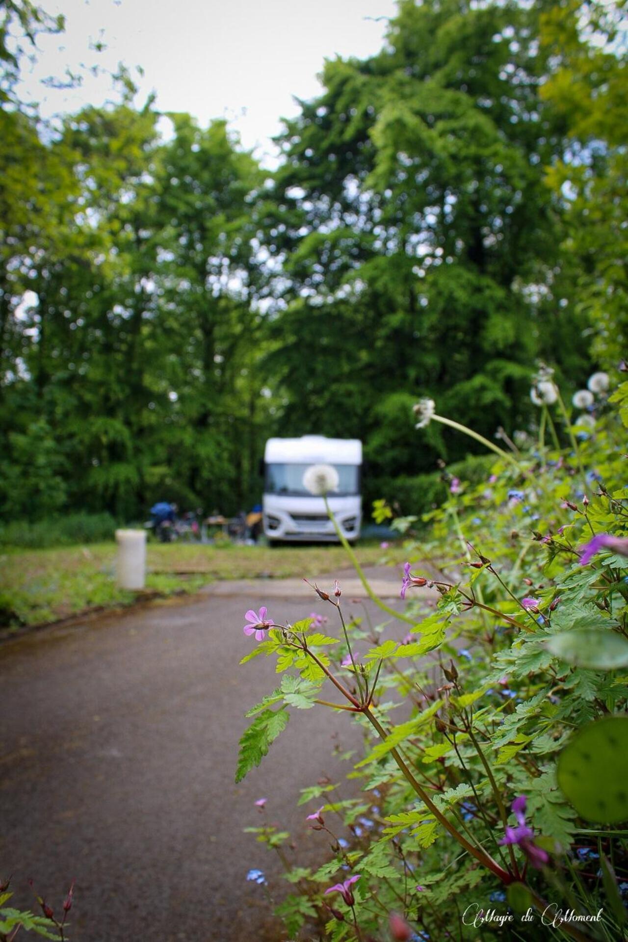 Camping La Sabliere Saint-Jans-Cappel Buitenkant foto